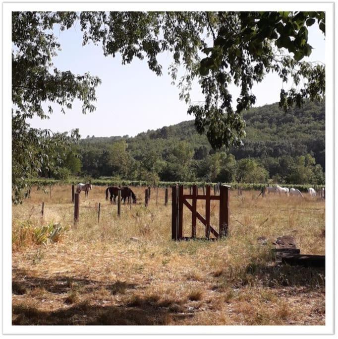 Charming Small House Close To Uzes Foissac  외부 사진